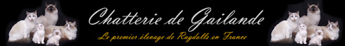 Banner La Chatterie de Gailande